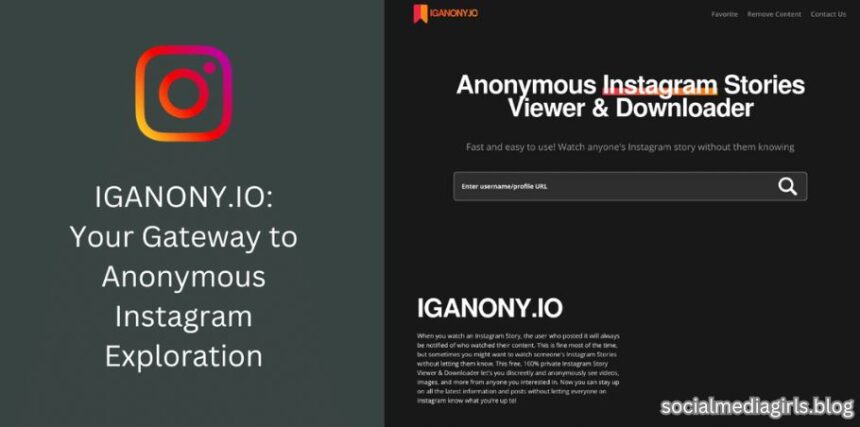 Anonymous instagram story viewer iganony