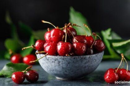 brouwer fruit - kersen verkoop